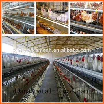 Battery Chicken Layer Cage Sale for Pakistan Farm/Used Chicken Cage/Chicken Wire Cage