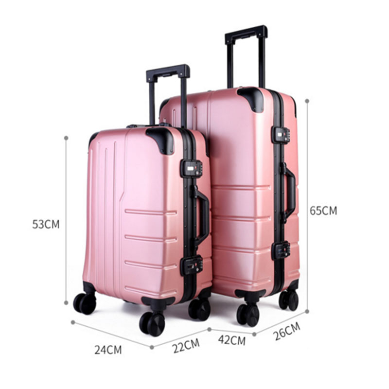 Women pc luggage