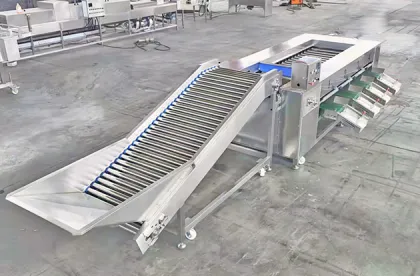 Factory Direct Sale Fruit & Vegetable Grading Machine - Fruit Sorting Machine Grading Machine