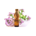 Salvia sclarea Clary Sage Essential Oil 100% Organic