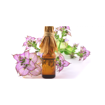 Salvia sclarea Óleo essencial de sálvia 100% orgânico
