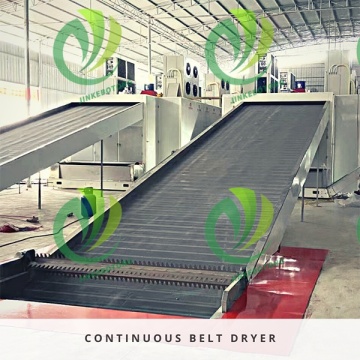 Reliable Belt Dryer for Precise Food Drying