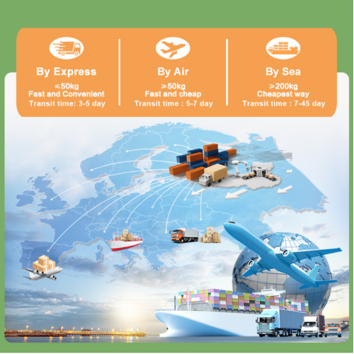 Премиум морел прах екстракта гљива