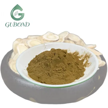 Astragalus Extract Powder for Dietary Supplements