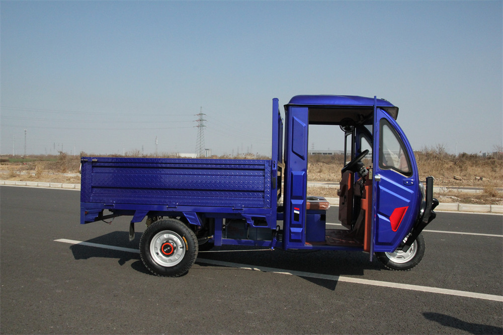 Cargo King Transportation Three-wheeled Electric Vehicle