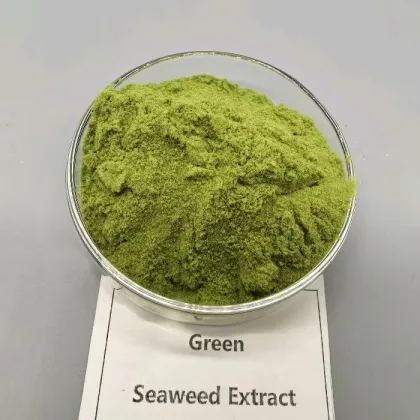 Biostimulant Organic Seaweed Extract