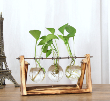 Paulowian wood casket with burn effect shelf with triple glass balls for tabletop decor water plant
