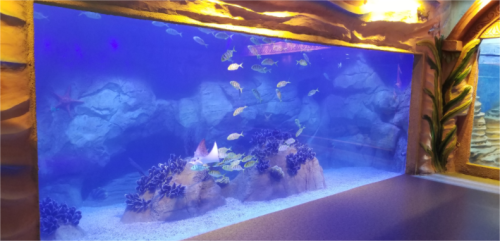 Акриловое окно пруда аквариума