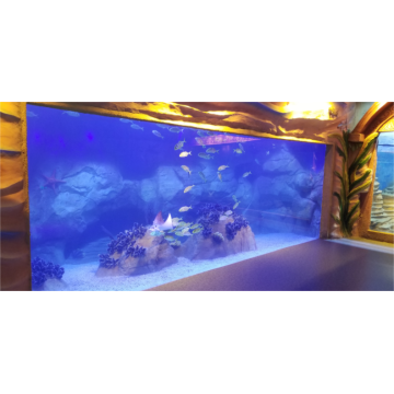 Janela de lagoa de aquário acrílico