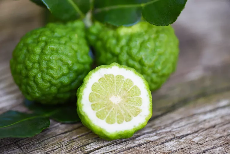 bergamot