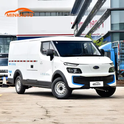 Dolphin EV Energy Electric City Logistics Vehicle On Sale