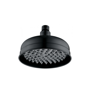 Black frosted brass shower head