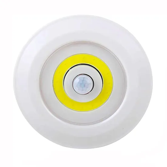 Motion Sensor LED Light: Battery-Powered, COB Technology, and Induction Lamp