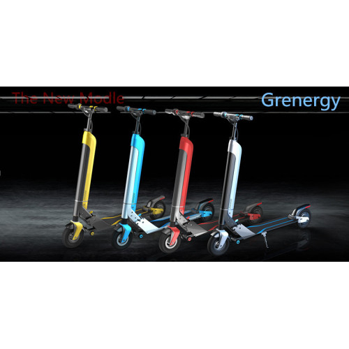 800W Electric Folding Scooter with Fat Tire