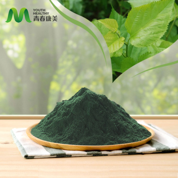 Polk di pigmento verde clorofilla pura in polvere