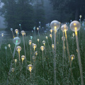 Illuminazione paesaggistica in fibra ottica fai da te