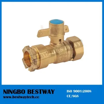 CW617N Brass water volume meter valve