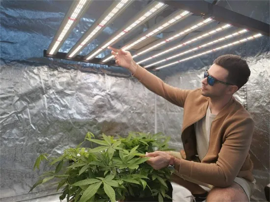 640Watt Grow Light for Indoor Plants Full Spectrum