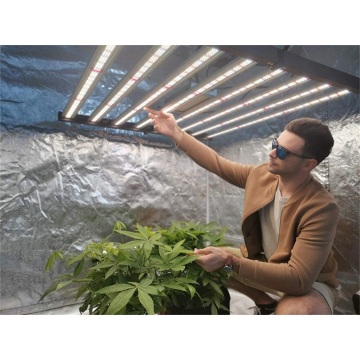 640 Watt Grow Light für Zimmerpflanzen mit vollem Spektrum