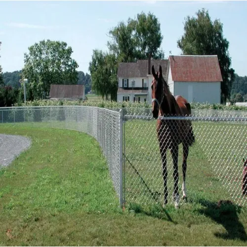 Security Wire Mesh Iron Metal Farm Fence