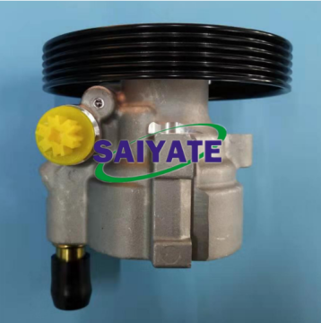 Power Steering Pump for Renault - 5PK 491104521R 491105879R 7700115621 8200712890