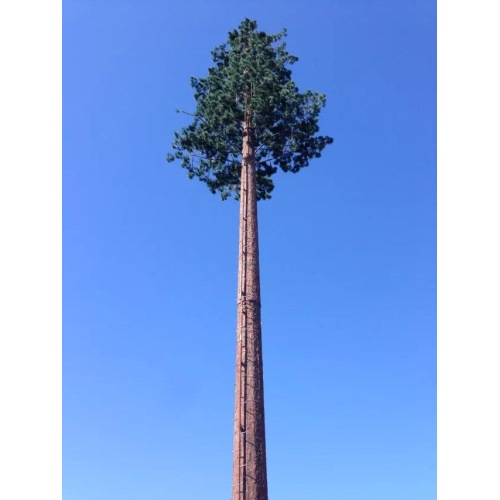 Menara Pine Tree Telecom