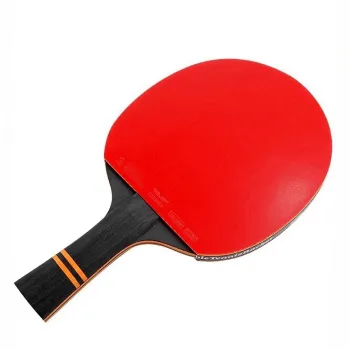 High Quality Table Tennis Set with Paddles and Balls - Hot Selling Professional PingPong Supplier