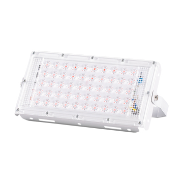 garden led flood light with lens wintersweet outdoor