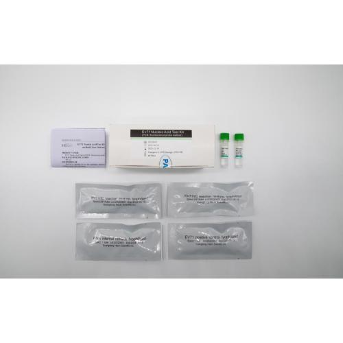 Kit de teste de ácido nucleico EV71 (método da sonda de pCR-fluorescência)