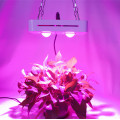 Full spectrum grow lamp horticulture plant light