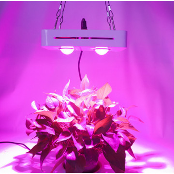 Growing Lamps LED Grow Light 300W AC85-265V