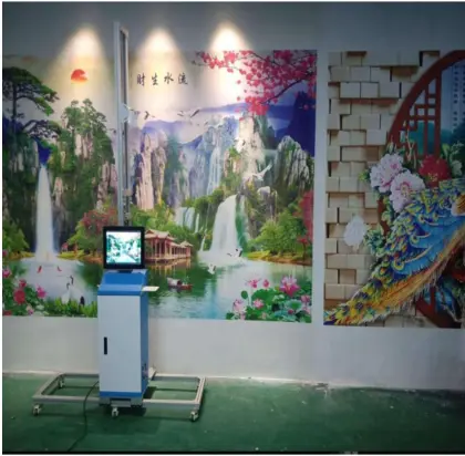 Automatic House Wall Painting Machines and Decorative Wall Painting Solutions