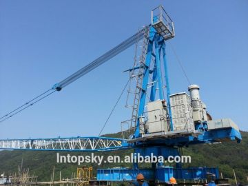 12t construction cane Derrick Crane