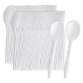 Plastic Cutlery Set with Disposable Spoon Fork