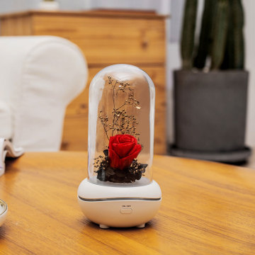 Personal portable Flower diffuser aromatherapy
