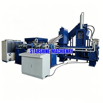 Briquetter For Sale Servo Hydraulic Press Machine