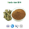 Epimedium Extract Powder Horny goat weed extract Factory