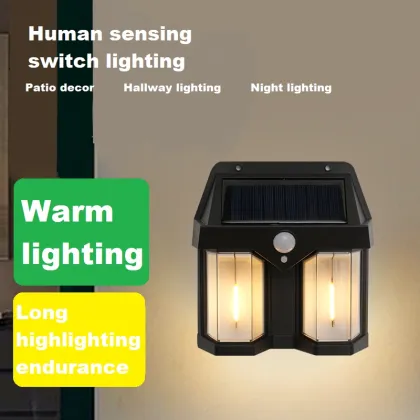 Best Solar Garden Lights with LED & Panel