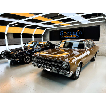 Professionelle High Hellness Car Care Showroom Garage Details Tunnellicht - Industrielle Beleuchtung ZG/E1010