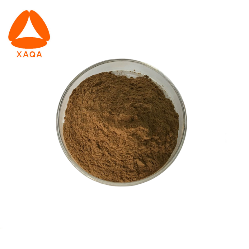 Fenugreek Seed Extract Powder For Penis Enlarge