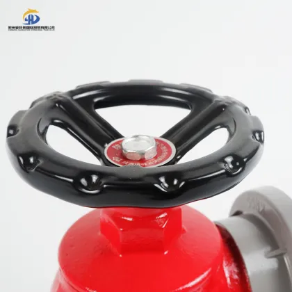 Rotating Indoor Fire Hydrant SN Series Fire Valve