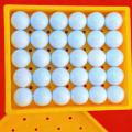 Organizador de pelotas de golf de 28x23x5cm