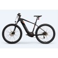 Customized E Bike Mountain Bike