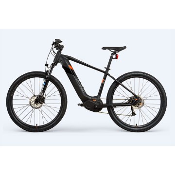 Customized E Bike Mountainbike