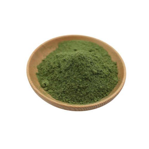 orgnaic barley grass juice powder Non GMO