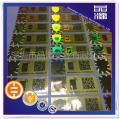 Scratch Off With QR Code Hologram Sticker