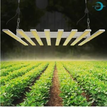 Large Growing LED Lamp 800W for Weed