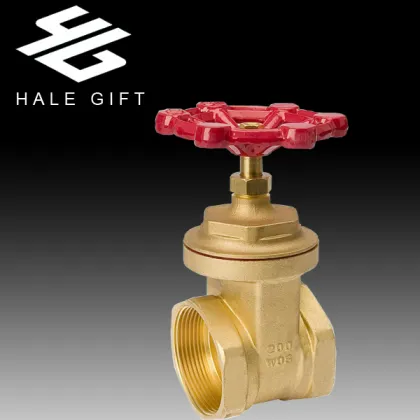 Sanwa WOG200 Forged Brass Check Gate Valve