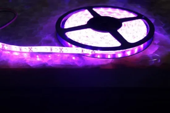 Waterproof 3mm Smd 5050 Led Strip Lights For Cars / Clubs , Purple Led Light Strips