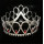 Pageant Bridal Beauty Hair Tiara Crown For Girl